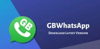insights logicalshout
